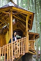 EnchantedForest029