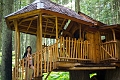 EnchantedForest030