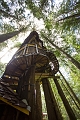 EnchantedForest043