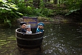 EnchantedForest046