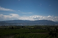 Kelowna069