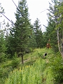 Zipline012