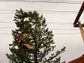 Zipline026