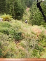 Zipline039