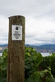 Kelowna178