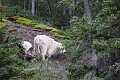 Jasper072