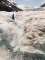ColumbiaIcefield018
