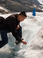 ColumbiaIcefield027