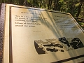 IcefieldsParkway008