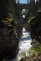 IcefieldsParkway013