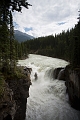 IcefieldsParkway022