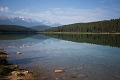 Jasper097