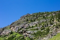 BigBeehive021