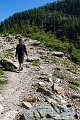 BigBeehive023