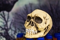 ASGHalloween011