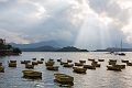 HongKong021