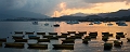 HongKong029