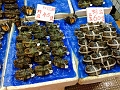 HongKong053