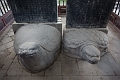 XiAn059