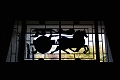 XiAn132