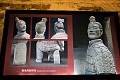 XiAn141