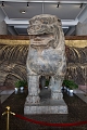 XiAn171