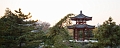 XiAn209