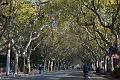 Shanghai004