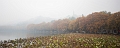 HangZhou016