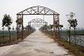 ChongMing006