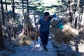 HuangShan103