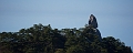 HuangShan106