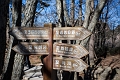HuangShan113