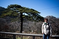 HuangShan119