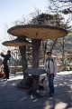 HuangShan124