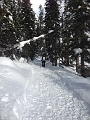 EmeraldLake004