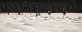 EmeraldLake019
