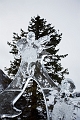 IceMagic005