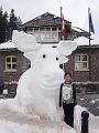IceMagic029