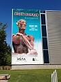 BodyWorlds002