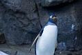 CalgaryZoo007