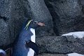 CalgaryZoo008