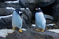 CalgaryZoo009