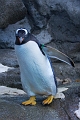 CalgaryZoo011
