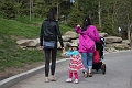 CalgaryZoo016