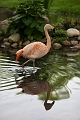 CalgaryZoo039