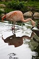 CalgaryZoo040