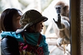 CalgaryZoo049