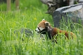CalgaryZoo058