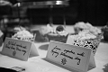 BradRianneWedding108